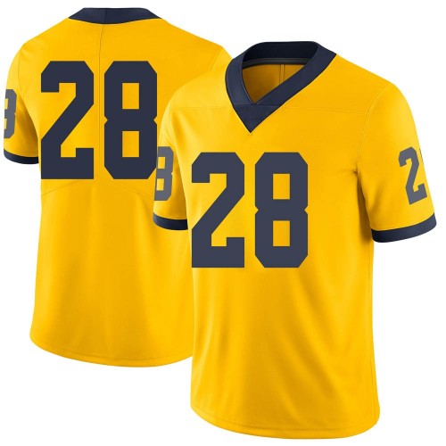Christian Turner Michigan Wolverines Youth NCAA #28 Maize Limited Brand Jordan College Stitched Football Jersey YLQ4354XB